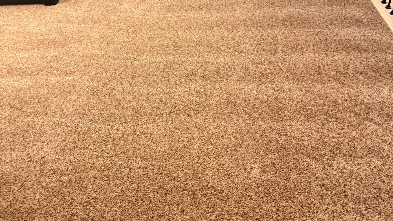 Freshly cleaned carpet in a bright Allen-area living room