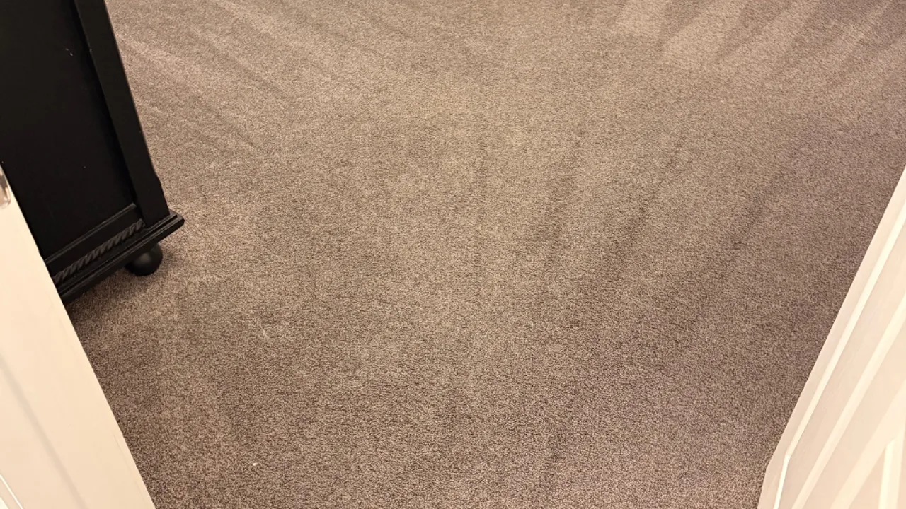 Freshly cleaned carpet in a bright Arlington-area living room