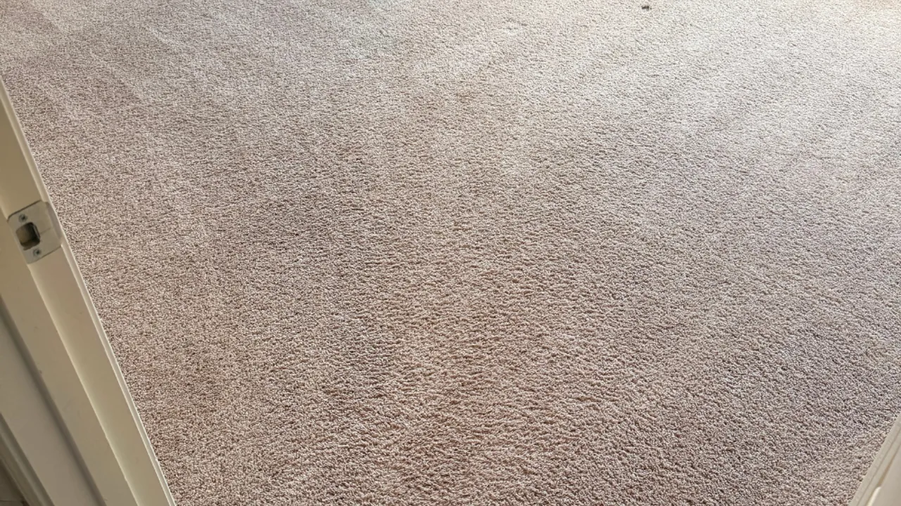Freshly cleaned carpet in a bright Bedford-area living room