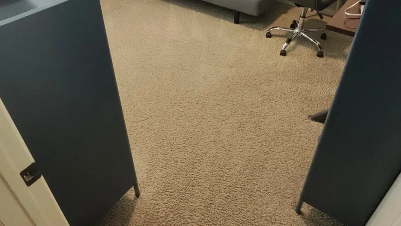Freshly cleaned carpet in a bright Carrollton-area living room