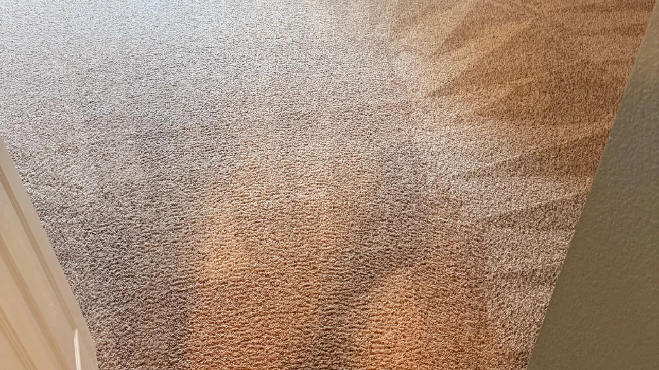 Freshly cleaned carpet in a bright Coppell-area living room