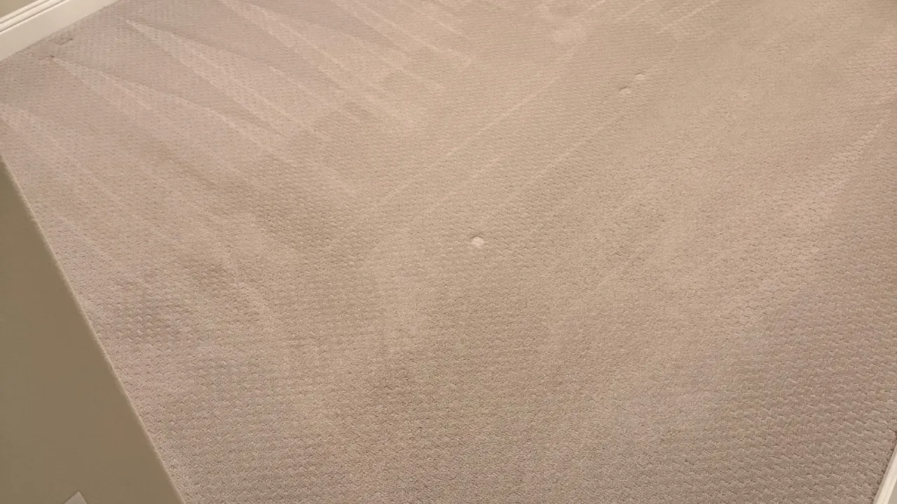 Freshly cleaned carpet in a bright Corinth-area living room