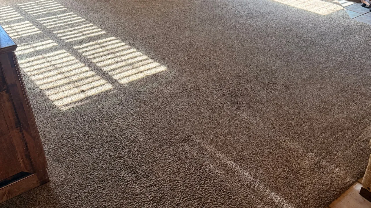 Freshly cleaned carpet in a bright Dallas-area living room