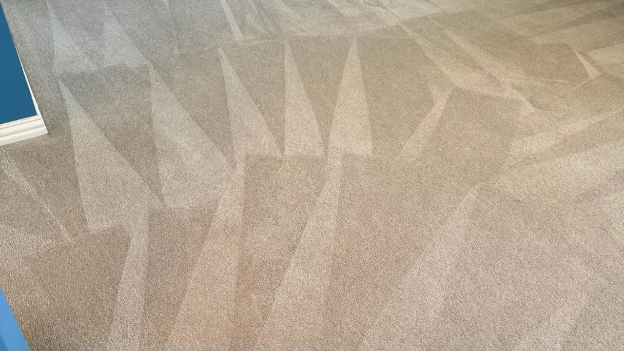 Freshly cleaned carpet in a bright Denton-area living room