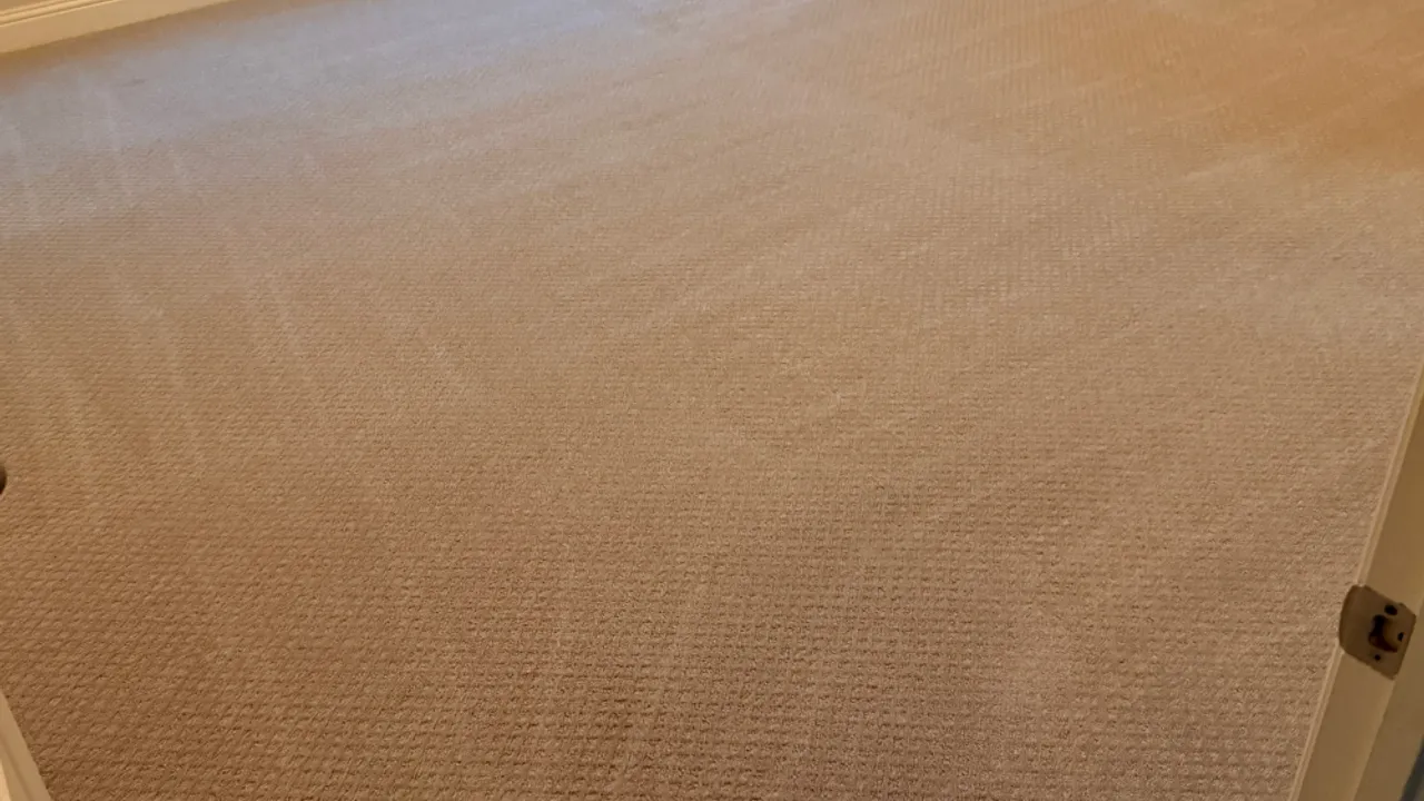 Freshly cleaned carpet in a bright Euless-area living room