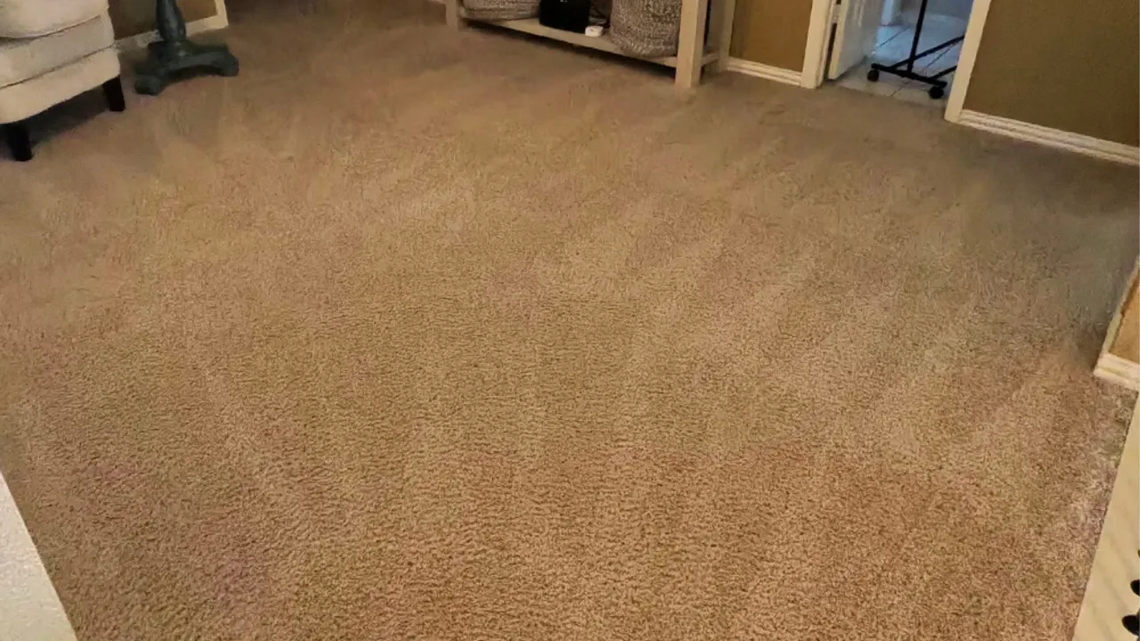 Freshly cleaned carpet in a bright Frisco-area living room