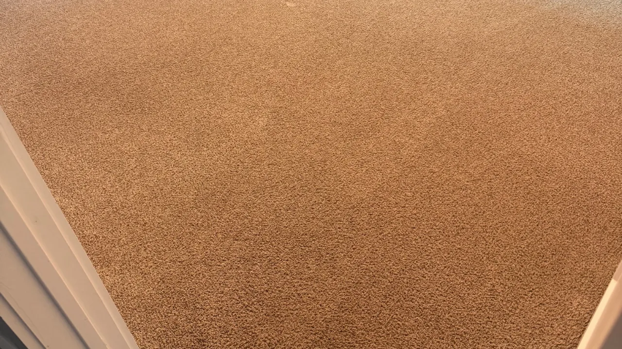 Freshly cleaned carpet in a bright Grand Prairie-area living room
