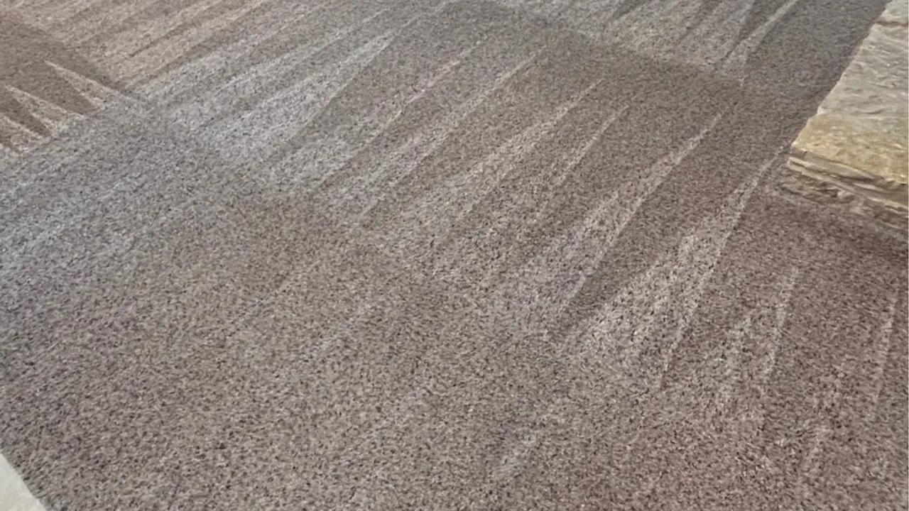 Freshly cleaned carpet in a bright Haslet-area living room