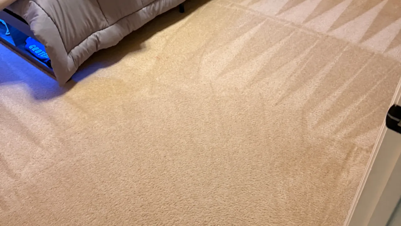 Freshly cleaned carpet in a bright Lewisville-area living room