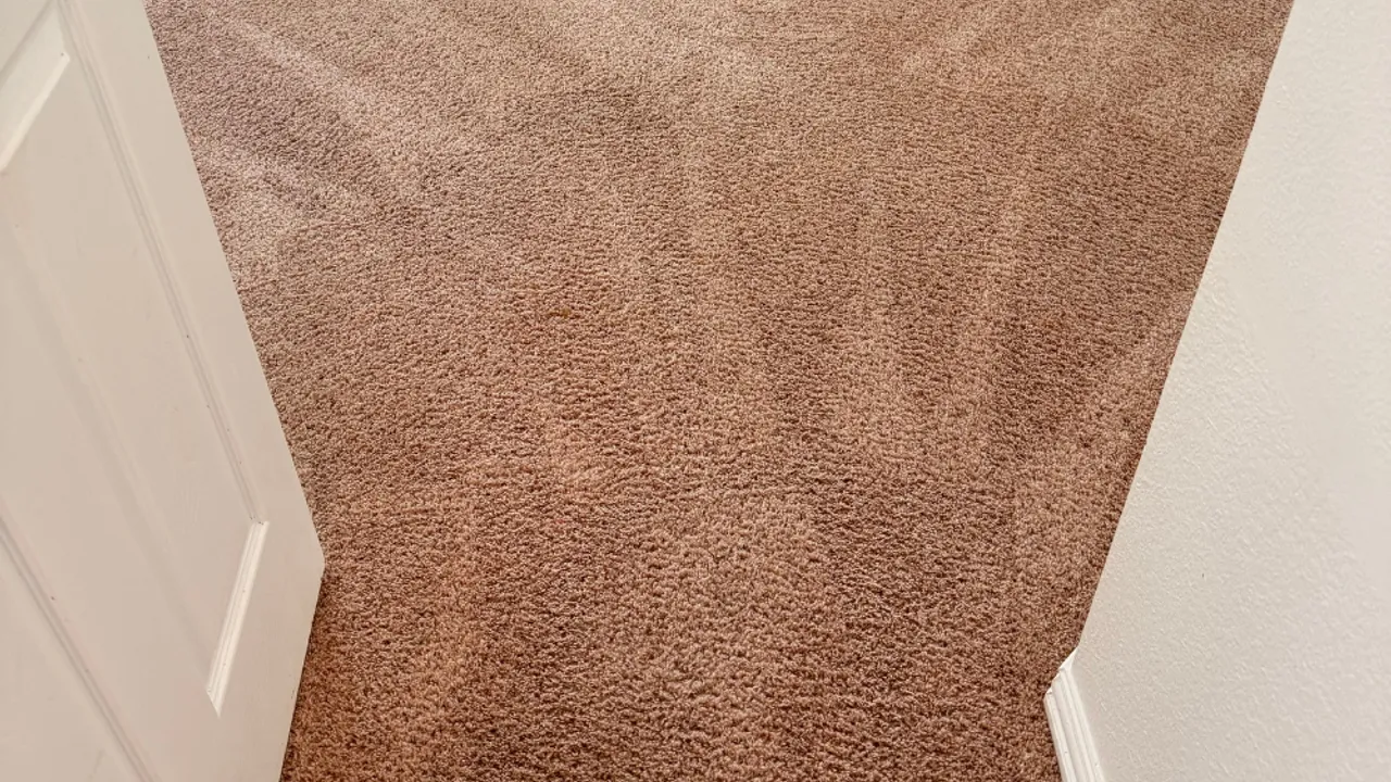 Freshly cleaned carpet in a bright McKinney-area living room