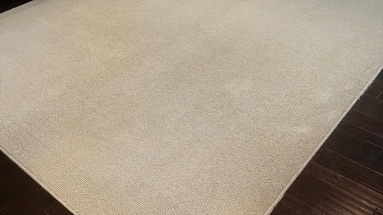 Freshly cleaned carpet in a bright Plano-area living room