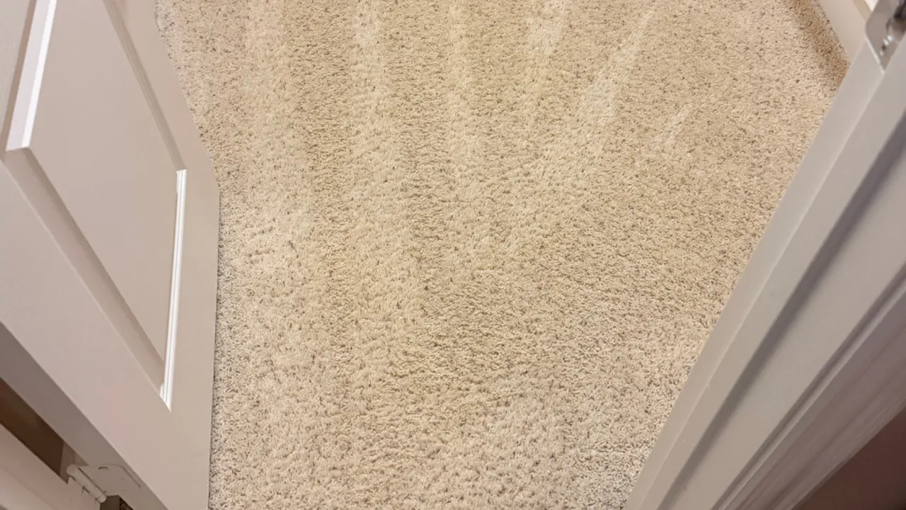 Freshly cleaned carpet in a bright Prosper-area living room