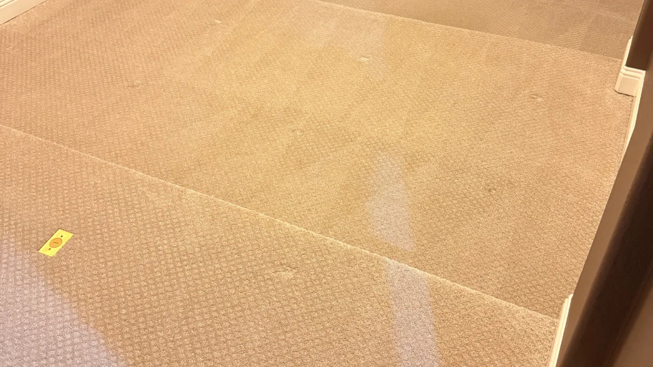 Freshly cleaned carpet in a bright The Colony-area living room