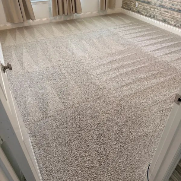 Bedroom carpet with fresh grooming lines after a Hank's cleaning