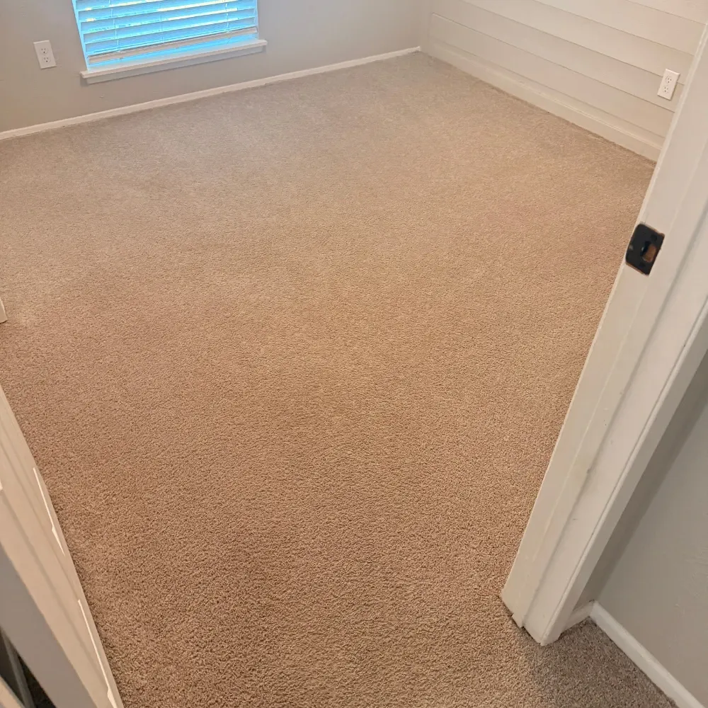 Freshly cleaned bedroom carpet