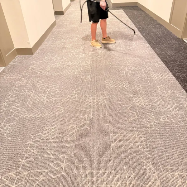 Technician pre-spraying a patterned hallway carpet before cleaning