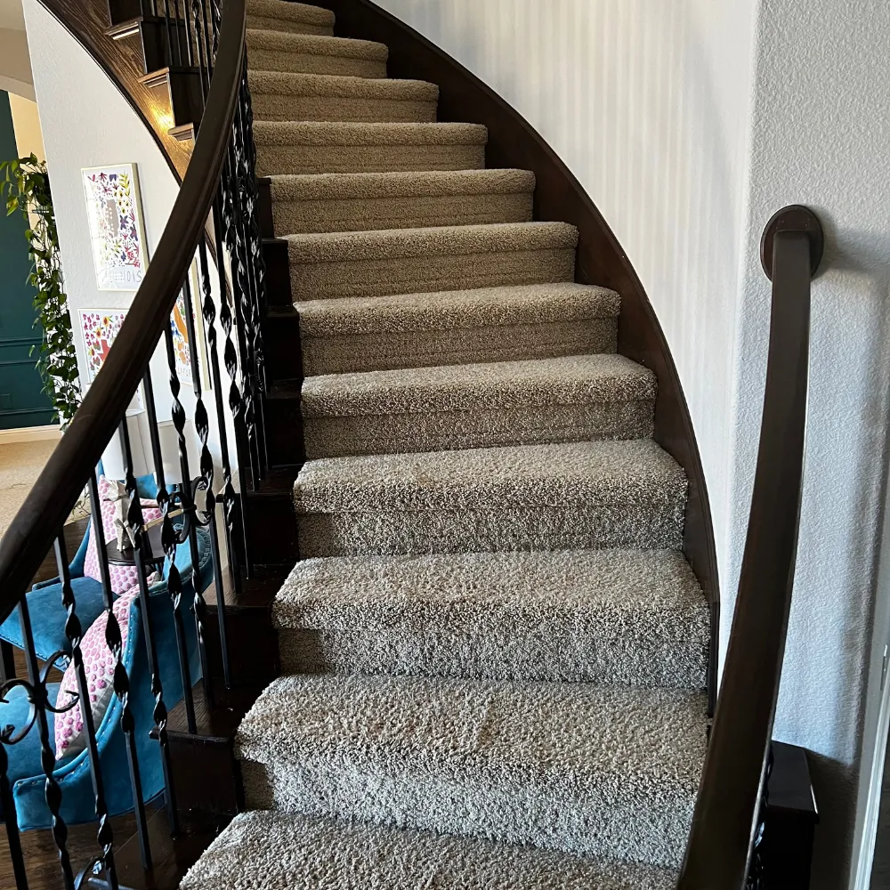 Clean carpeted staircase and upstairs rooms after a five-room carpet cleaning refresh