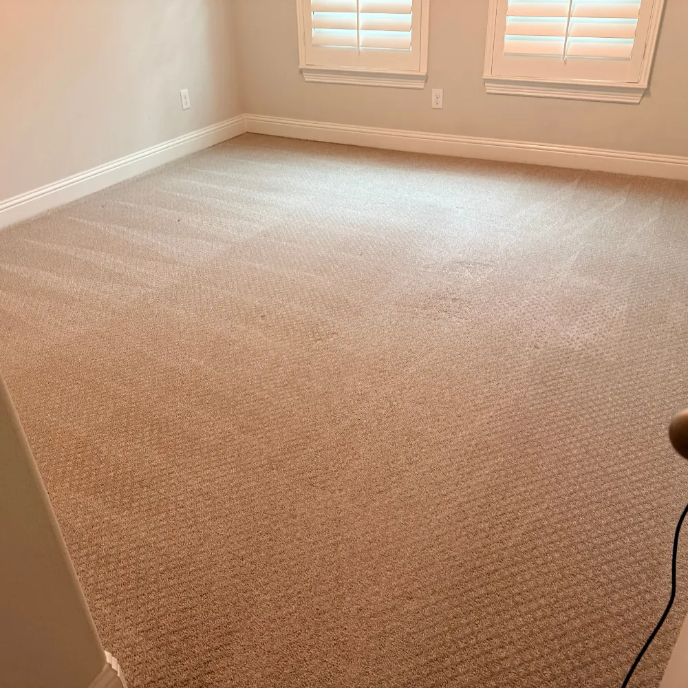 Clean, dry carpet in an empty room after move-in carpet cleaning in Flower Mound