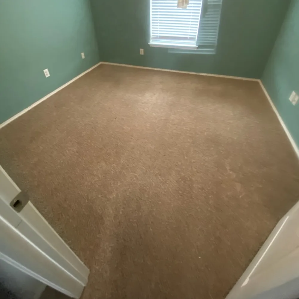 Clean bedroom carpet after a pet-friendly carpet cleaning in Fort Worth