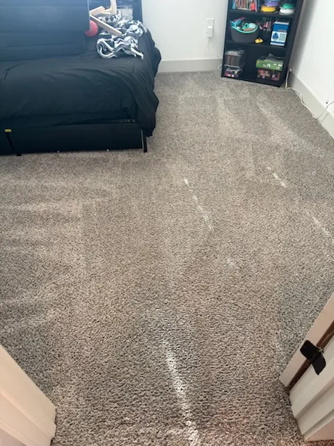 Bedroom carpet after pet stain and odor carpet cleaning in Fort Worth