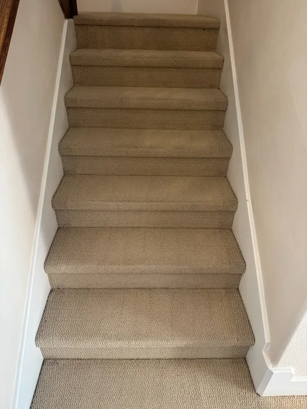 Carpeted staircase after cleaning in a north Fort Worth home