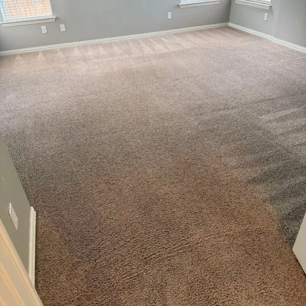 Carpet mid-clean, showing the difference between the cleaned and uncleaned sections