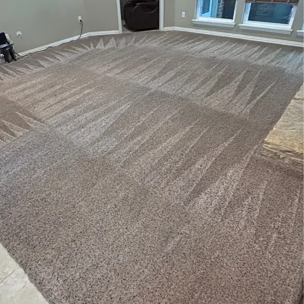 Living area carpet with fresh grooming lines after a maintenance cleaning in Keller