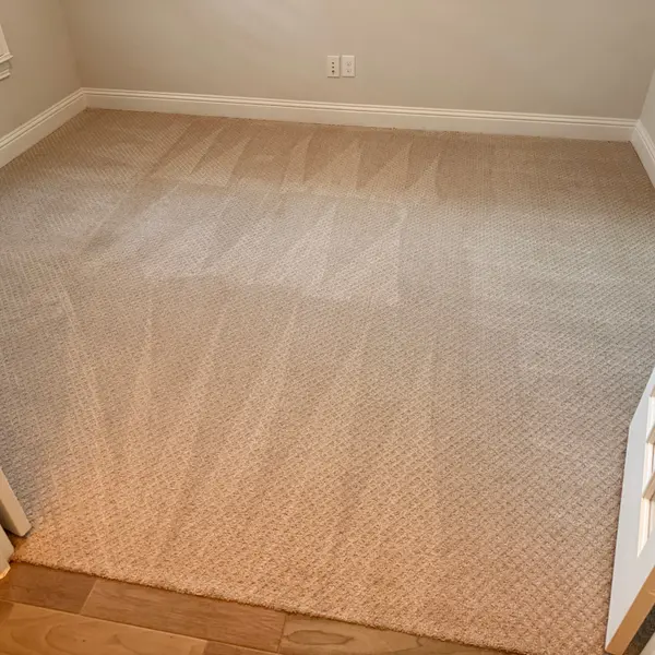Guest room carpet with fresh grooming lines before weekend visitors in Lantana