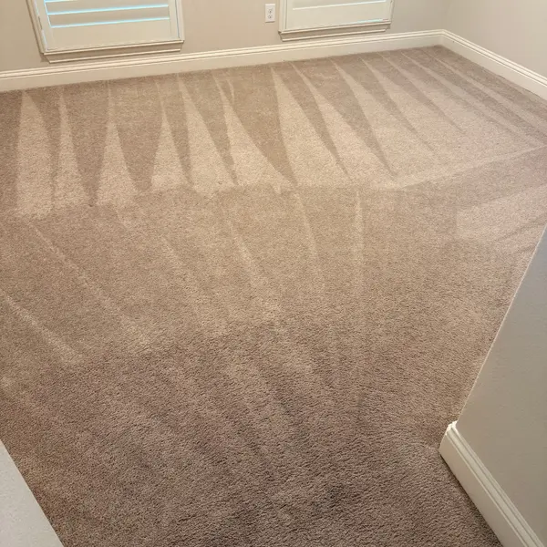 Bedroom carpet with fresh grooming lines after a spring cleaning in North Richland Hills