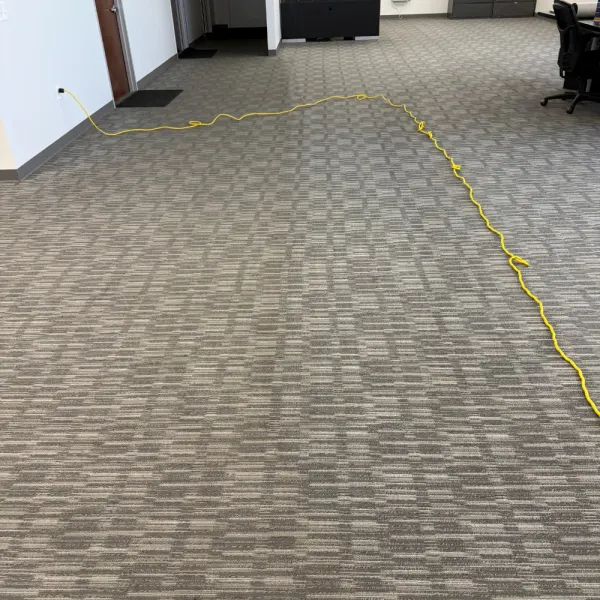 Office carpet after a low-moisture carpet cleaning