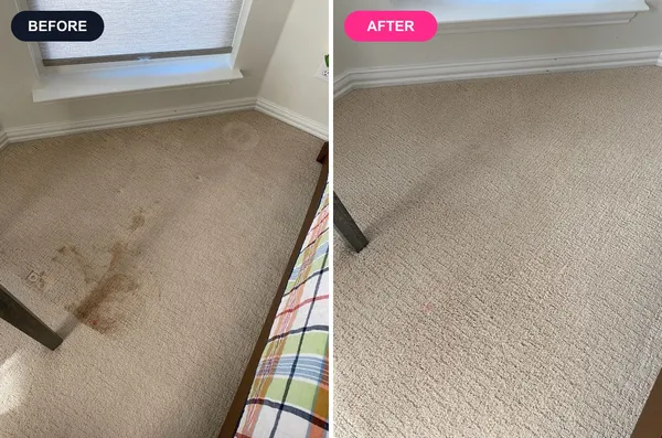 Before and after: shake spill stain removed from bedroom carpet in Southlake