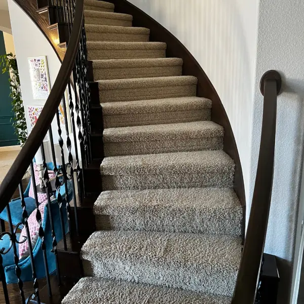 Cleaned carpeted staircase with iron railings