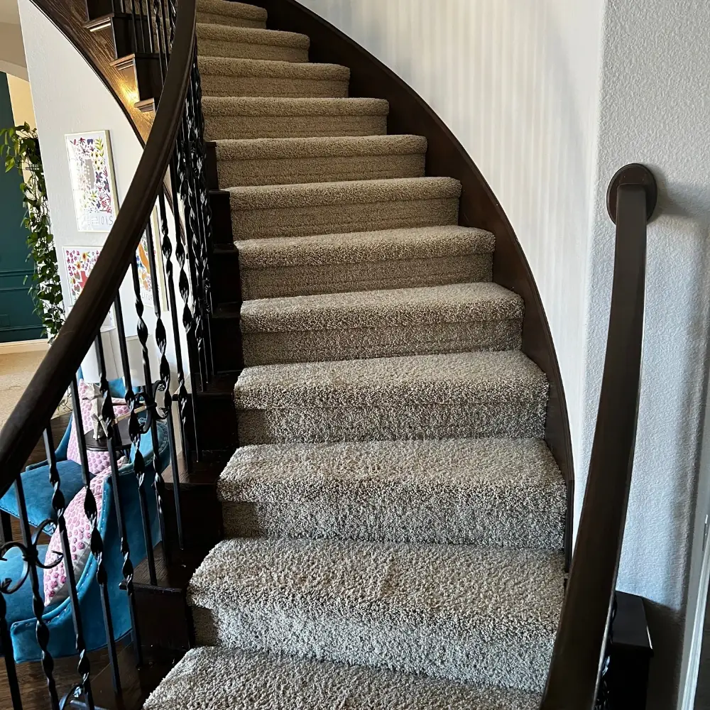 Cleaned carpeted staircase with iron railings
